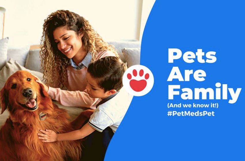 The Ultimate Guide to PetMeds | Your One-Stop Online Pharmacy for Furry Friends